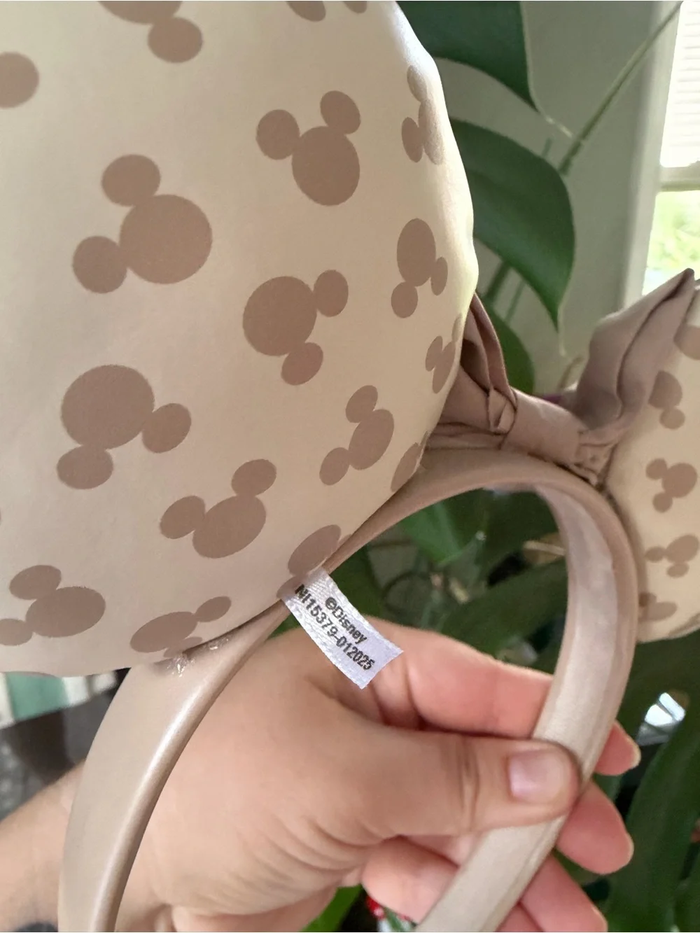 Disney ears